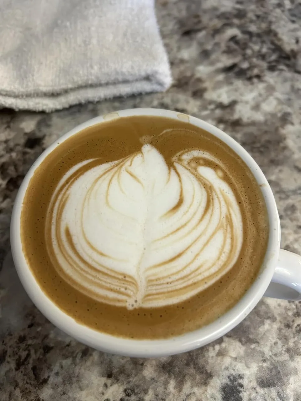This is my first real espresso machine, and after using it every morning for the past few months,...